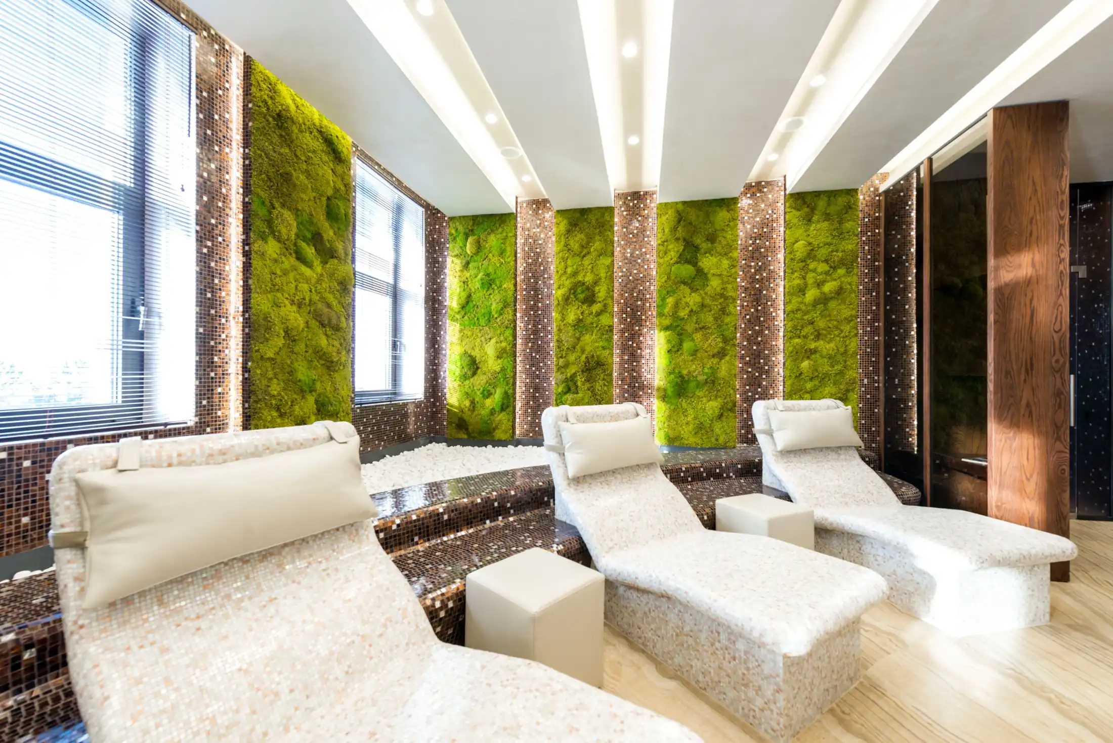 Wellness Experience